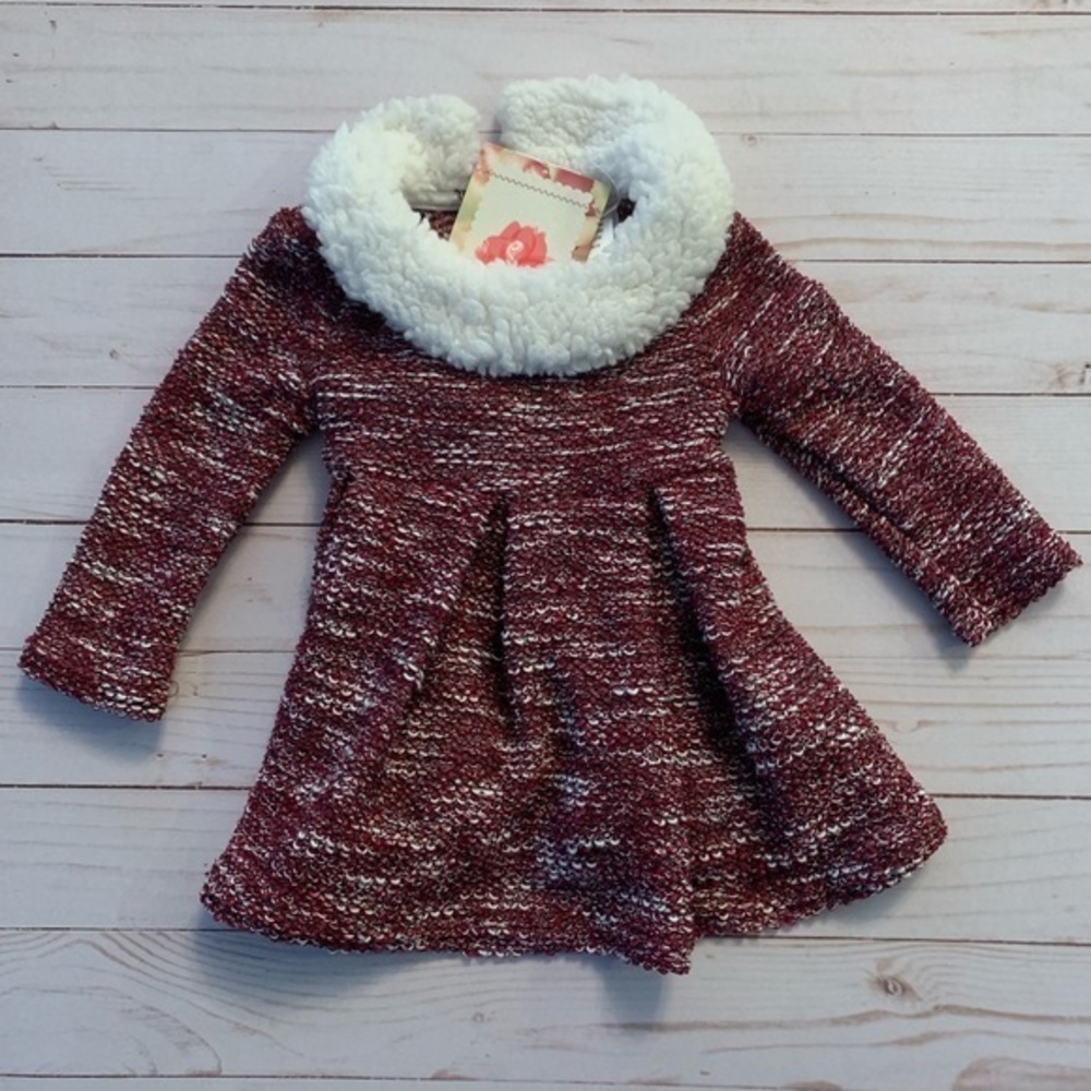 NWT Sweet Heart Rose Dress 12m